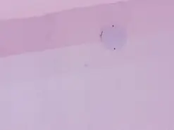 Amateur Private Sex Chat of AndreaSweet2