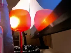 Amateur Free Porn Cam of DannieSmith