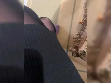 Housewife babe milf cams