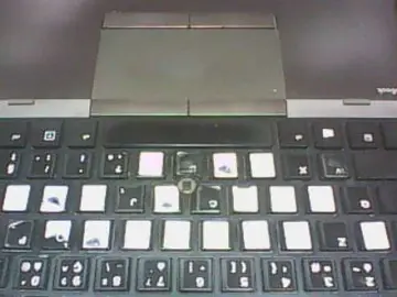 Bongacams Best Webcam of big-asssexy