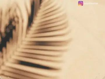 Bongacams Live Porn of LadyOfDesire