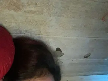 Bongacams Private Sex Chat of Asiankitties