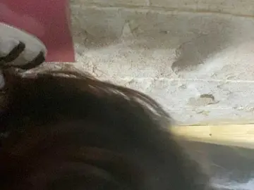 Bongacams Live Porn of Asiankitties