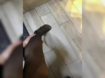 Bongacams Best live sex cam show of -cutiekitty-