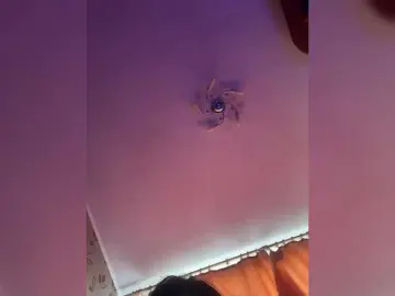 Bongacams Live Sex Cam of trulalalameow