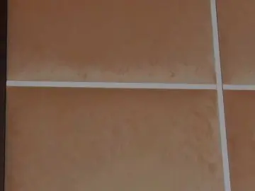 Bongacams Free Porn Cam of DeviousAngel