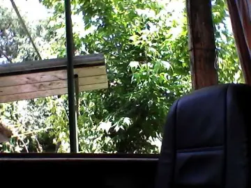 Bongacams Live Porn of Veronika161