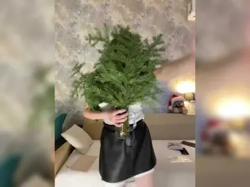 Bongacams Adult Webcam of Incredible123