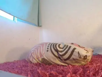 Bongacams Sex Cam of miachanel421