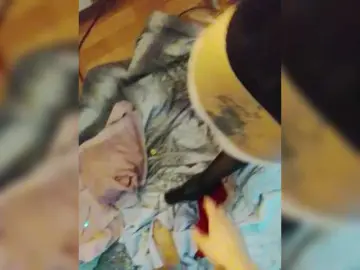 Bongacams Live Sex of Laylay13