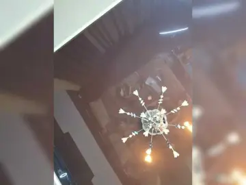 Bongacams Free Porn Cam of HairyCrotch