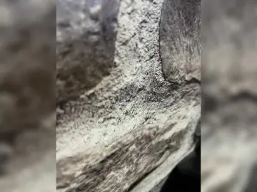 Bongacams Best Webcam of arzhotwife90