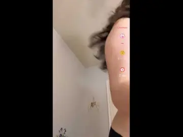 Bongacams Adult Video Chat of BabyAngel311