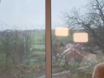 Bongacams Live Sex Cam of Ellaxxxstar