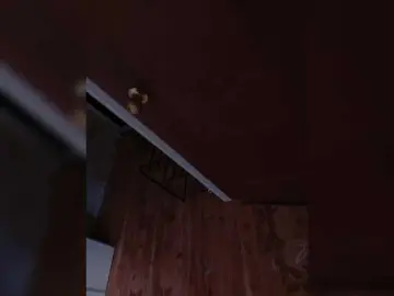Bongacams Sex Cam of Niki233221