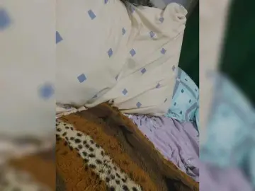 Cock sucking milf cams