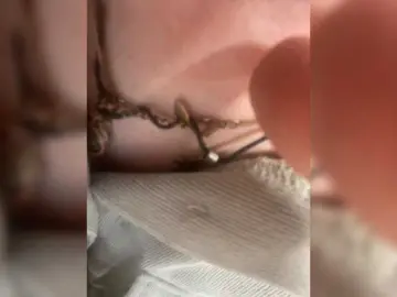 Bongacams Sex Cam of AliceLaKatana
