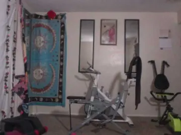 Bongacams Adult Webcams of AdviceColumn