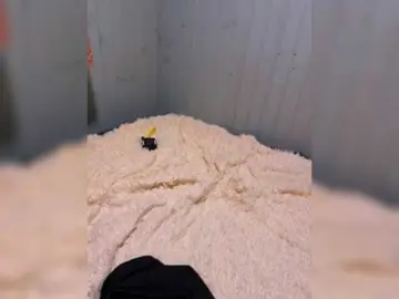 Bongacams Live Sex Cam of Maikl3112