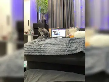 Bongacams Live Sex Cam of Vero19nika