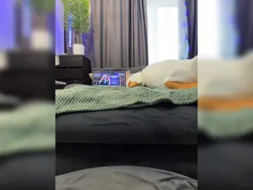Bongacams Free Porn Cam of Vero19nika