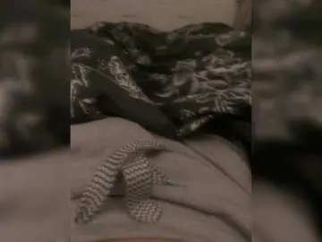 Bongacams Best Webcam of Devochka1010