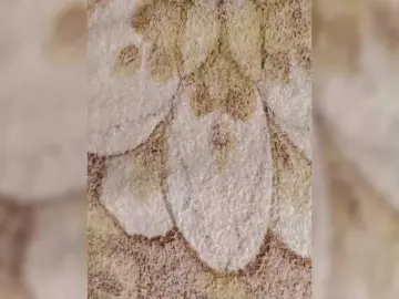 Bongacams Sex Chat of Her-Girl