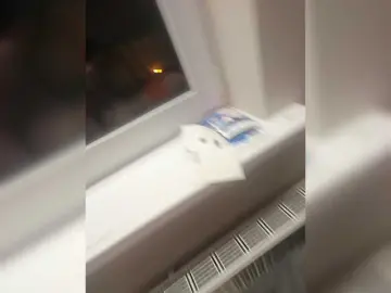 Bongacams Watch Live Sex Cams of romas17p2p