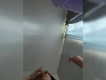 Bongacams Adult Video Chat of EvanShell1