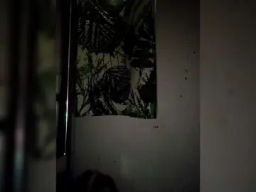 Bongacams Best Webcam of candicelovee