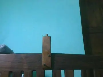 Bongacams Best live sex cam show of Selvidam
