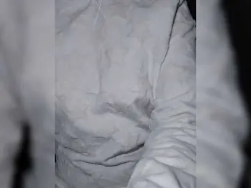 Bongacams Watch Live Sex Cams of NERII11