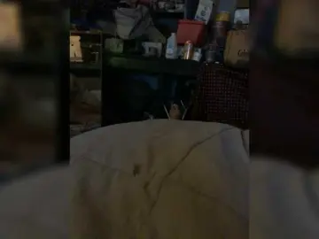 Bongacams Free Porn Cam of angelswhore