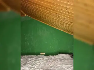 Bongacams Sex Cam of Vishenkakiss