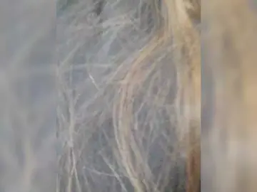 Bongacams Live Sex of Misssexyberry