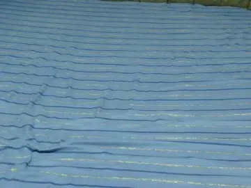 Bongacams Best Webcam of Naughty-pussy1