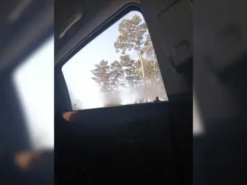 Bongacams Adult Webcam of MurkaLux