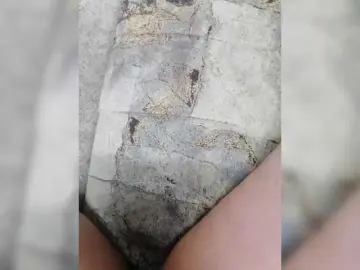 Bongacams Adult Webcams of seksiparaa