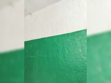 Bongacams Live Porn of pevicha
