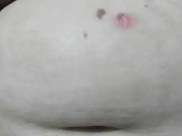 Bongacams Best Webcam of AlondraZaens