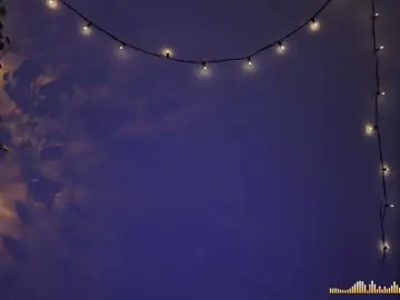 Bongacams Adult Webcams of bySOVA