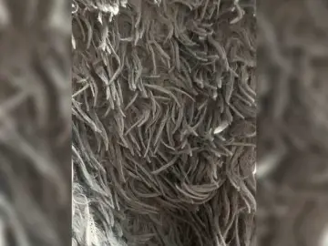 Bongacams Nude Webcam of SeksiBoom