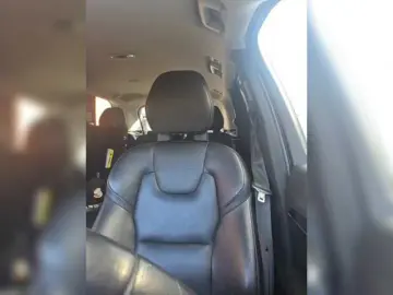 Bongacams Free Live Porn of SophieMary