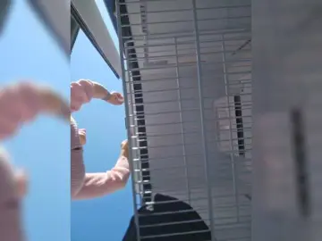 Bongacams Watch Live Sex Cams of SophieMary