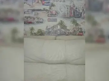 Bongacams Sex Chat of Anesteishen