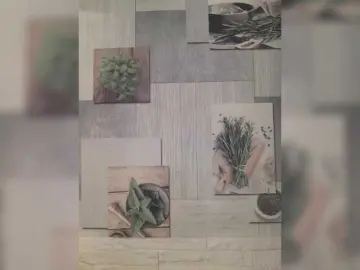 Bongacams Adult Webcams of Anesteishen