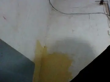 Bongacams Watch Live Sex Cams of Aina9