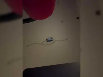 Bongacams Sex Chat of hitcouple