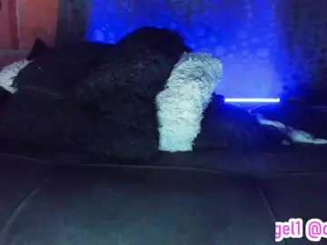 Bongacams Private Sex Chat of cata-anngel