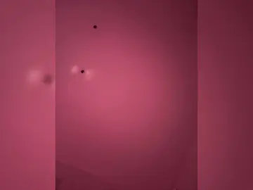 Bongacams Watch Live Sex Cams of VIP17CoupleDream